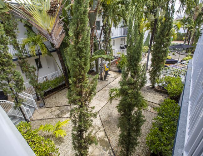 The image shows a courtyard with tall trees, lush green vegetation, pathways, and white-balconied buildings surrounding the area.