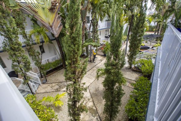 A lush courtyard with tall trees, white balconies, and pathways is surrounded by greenery and palm plants.