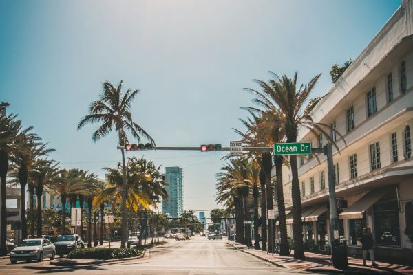 A sunny street scene with palm trees and a traffic light on Ocean Dr. in an urban setting.