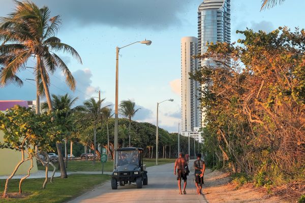 Two people walk on a path with palm trees and a tall building in the background, under a clear blue sky.